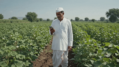 Farmer